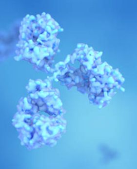 Hydrolyzed Protein and Amino Acids