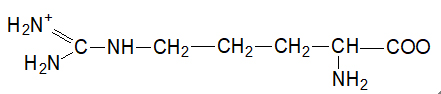 L-Arginine