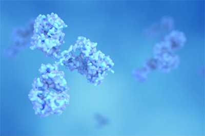 Hydrolyzed Protein and Amino Acids